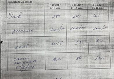 Организация горячего питания